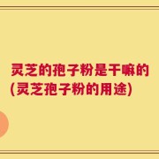 灵芝的孢子粉是干嘛的(灵芝孢子粉的用途)