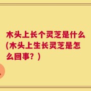 木头上长个灵芝是什么(木头上生长灵芝是怎么回事？)