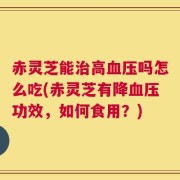 赤灵芝能治高血压吗怎么吃(赤灵芝有降血压功效，如何食用？)