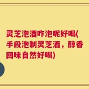 灵芝泡酒咋泡呢好喝(手段泡制灵芝酒，醇香回味自然好喝)