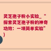 灵芝孢子粉小实验_“探索灵芝孢子粉的神奇功效：一项简单实验”)