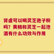 肾虚可以喝灵芝孢子粉吗？黄精和灵芝一起泡酒有什么功效与作用