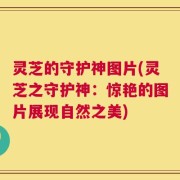 灵芝的守护神图片(灵芝之守护神：惊艳的图片展现自然之美)
