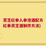 灵芝红参人参泡酒配方红参灵芝酒制作方法)