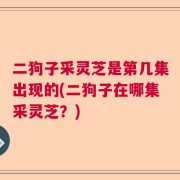 二狗子采灵芝是第几集出现的(二狗子在哪集采灵芝？)