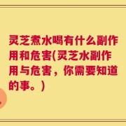灵芝煮水喝有什么副作用和危害(灵芝水副作用与危害，你需要知道的事。)