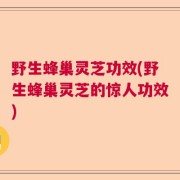 野生蜂巢灵芝功效(野生蜂巢灵芝的惊人功效)