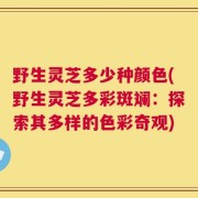 野生灵芝多少种颜色(野生灵芝多彩斑斓：探索其多样的色彩奇观)