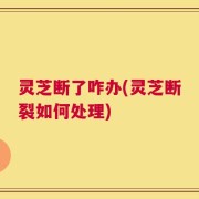 灵芝断了咋办(灵芝断裂如何处理)