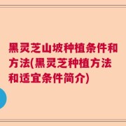 黑灵芝山坡种植条件和方法(黑灵芝种植方法和适宜条件简介)
