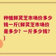 种植鲜灵芝市场价多少钱一斤(鲜灵芝市场价是多少？一斤多少钱？)