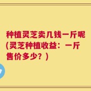 种植灵芝卖几钱一斤呢(灵芝种植收益：一斤售价多少？)