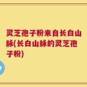 灵芝孢子粉来自长白山脉(长白山脉的灵芝孢子粉)