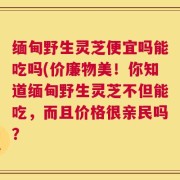 缅甸野生灵芝便宜吗能吃吗(价廉物美！你知道缅甸野生灵芝不但能吃，而且价格很亲民吗？