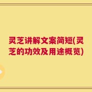 灵芝讲解文案简短(灵芝的功效及用途概览)