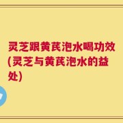 灵芝跟黄芪泡水喝功效(灵芝与黄芪泡水的益处)