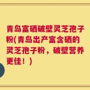 青岛富硒破壁灵芝孢子粉(青岛出产富含硒的灵芝孢子粉，破壁营养更佳！)