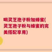 喝灵芝孢子粉加蜂蜜(灵芝孢子粉与蜂蜜的完美搭配享用)