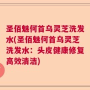 圣佰魅何首乌灵芝洗发水(圣佰魅何首乌灵芝洗发水：头皮健康修复高效清洁)