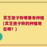 灵芝孢子粉哪里有种植(灵芝孢子粉的种植地在哪？)