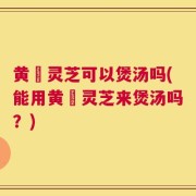 黄茋灵芝可以煲汤吗(能用黄茋灵芝来煲汤吗？)