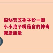 探秘灵芝孢子粉一颗 小小孢子粉蕴含的神奇健康能量