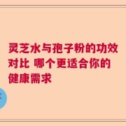 灵芝水与孢子粉的功效对比 哪个更适合你的健康需求