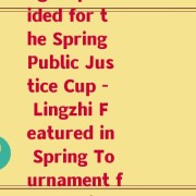 灵芝供春公道杯(Lingzhi provided for the Spring Public Justice Cup - Lingzhi Featured in Spring Tournament for Justice)