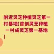 附近灵芝种植灵芝第一村基地(首创灵芝种植 一村成灵芝第一基地)