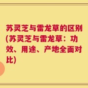 苏灵芝与雷龙草的区别(苏灵芝与雷龙草：功效、用途、产地全面对比)