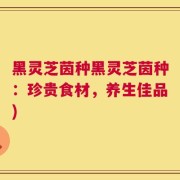 黑灵芝茵种黑灵芝茵种：珍贵食材，养生佳品)