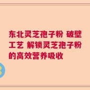 东北灵芝孢子粉 破壁工艺 解锁灵芝孢子粉的高效营养吸收