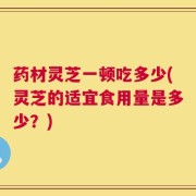 药材灵芝一顿吃多少(灵芝的适宜食用量是多少？)