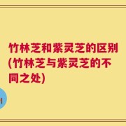竹林芝和紫灵芝的区别(竹林芝与紫灵芝的不同之处)