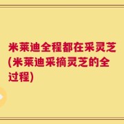 米莱迪全程都在采灵芝(米莱迪采摘灵芝的全过程)
