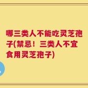 哪三类人不能吃灵芝孢子(禁忌！三类人不宜食用灵芝孢子)