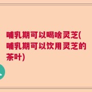 哺乳期可以喝啥灵芝(哺乳期可以饮用灵芝的茶叶)