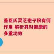 善臣氏灵芝孢子粉有何作用 解析其对健康的多重功效