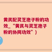 黄芪配灵芝孢子粉的功效_“黄芪与灵芝孢子粉的协同功效”)