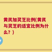 黄芪加灵芝比例(黄芪与灵芝的适宜比例为什么？)