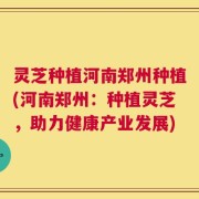 灵芝种植河南郑州种植(河南郑州：种植灵芝，助力健康产业发展)