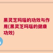 黑灵芝玛瑙的功效与作用(黑灵芝玛瑙的健康功效)