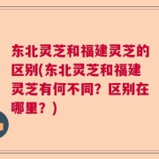 东北灵芝和福建灵芝的区别(东北灵芝和福建灵芝有何不同？区别在哪里？)