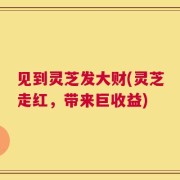 见到灵芝发大财(灵芝走红，带来巨收益)