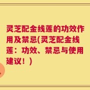 灵芝配金线莲的功效作用及禁忌(灵芝配金线莲：功效、禁忌与使用建议！)