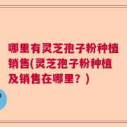 哪里有灵芝孢子粉种植销售(灵芝孢子粉种植及销售在哪里？)