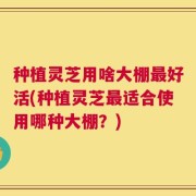 种植灵芝用啥大棚最好活(种植灵芝最适合使用哪种大棚？)