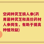 空间种灵芝摘人参(药用菌种灵芝和高价药材人参同生，有助于提高种植效益)