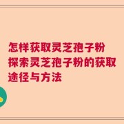 怎样获取灵芝孢子粉 探索灵芝孢子粉的获取途径与方法