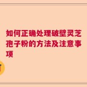 如何正确处理破壁灵芝孢子粉的方法及注意事项